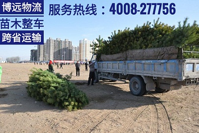 長(zhǎng)沙至河南開(kāi)封8噸植物跨省運(yùn)輸.jpg 長(zhǎng)沙至河南開(kāi)封8噸植物跨省運(yùn)輸.jpg